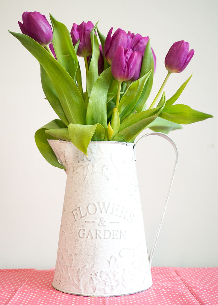 violet, tulip, pitcher, garden, interior, flower, pink