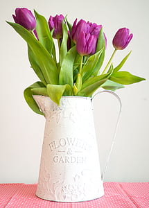 violet, Tulip, Pichet, jardin, intérieur, fleur, Rose