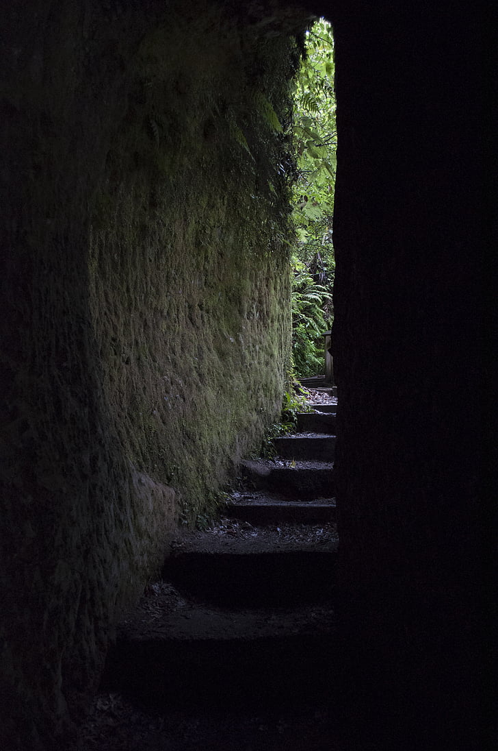 tunnel, natur, New Zealand, naturlige, lys, rejse, gyde