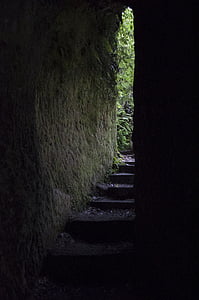 tunnel, naturen, Nya Zeeland, naturliga, ljus, resor, gränd
