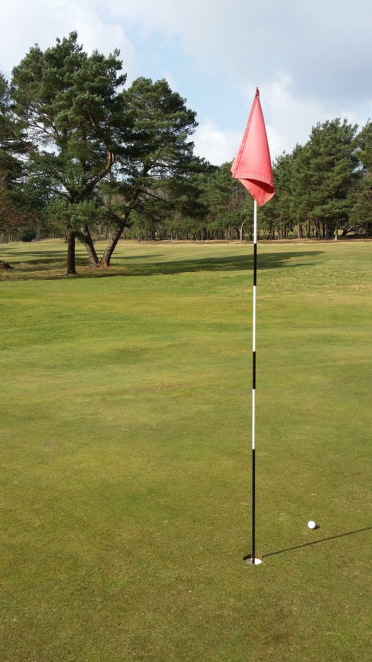 Golf, drapeau, Ball, vert, herbe, cours, Fairway