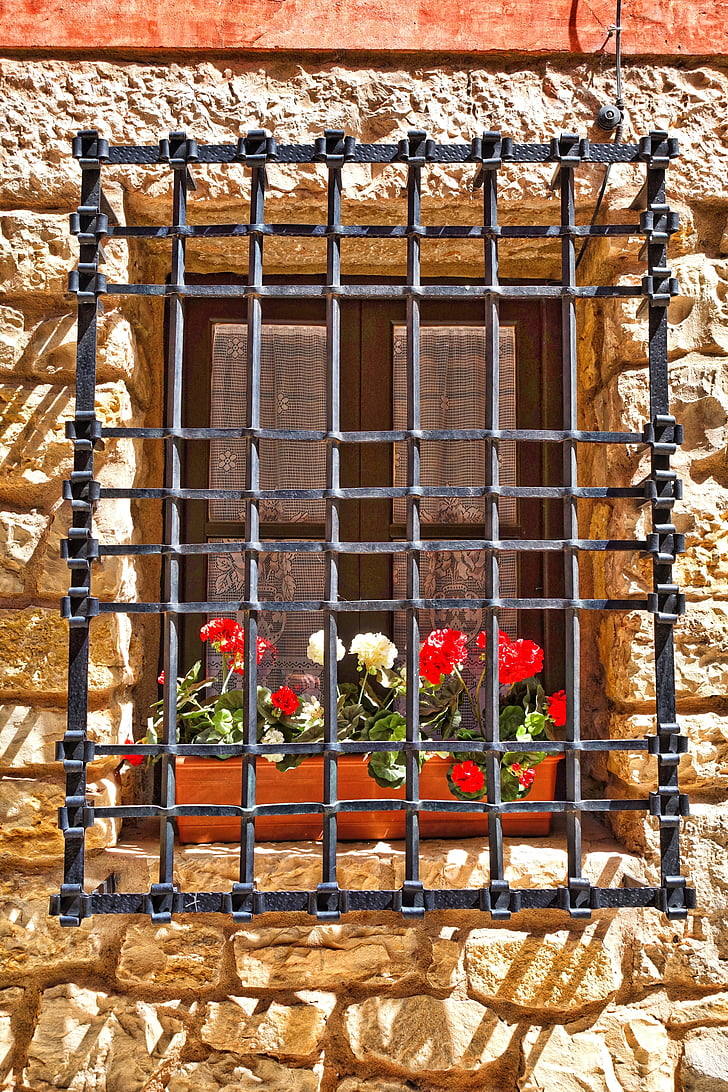 finestra, fiori, protezione, arredamento, parte anteriore, decorazione, architettura