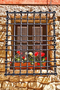 Fenster, Blumen, Schutz, Dekor, vorne, Dekoration, Architektur