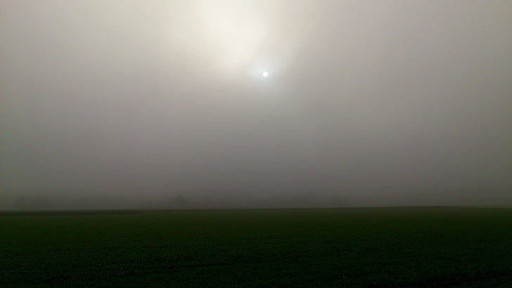 dimma, fältet, solen, trist, grå, atmosfäriska, motljus