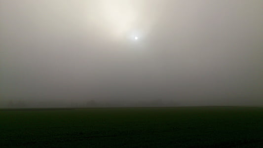 tåge, felt, solen, trist, grå, atmosfærisk, tilbage lys
