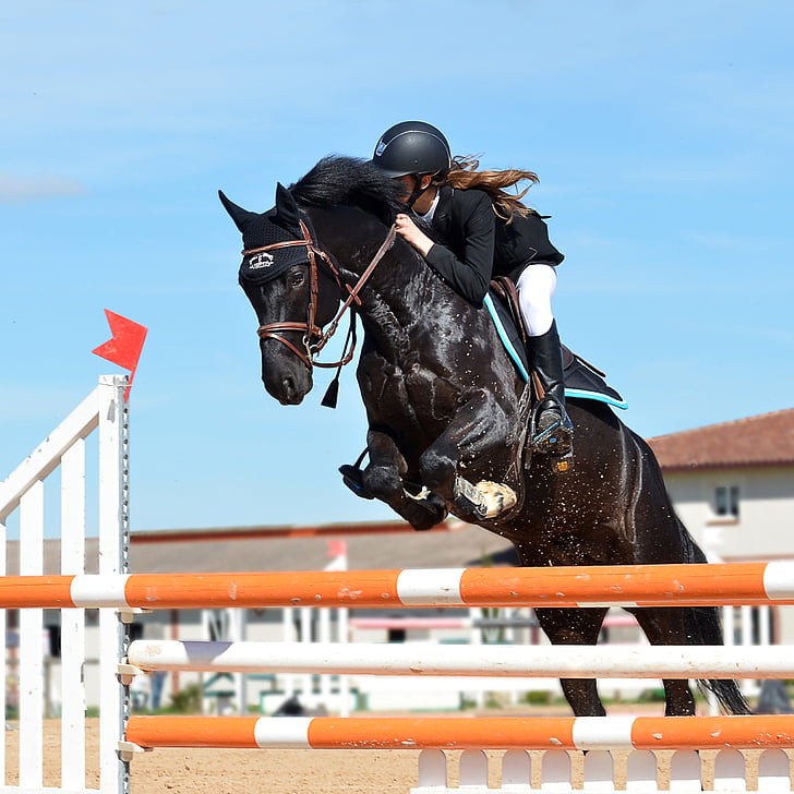 Ratsutamine., hobune, hüppamine takistus, hobune Näita, hobuste võidusõit, loomade Sport, võidusõiduhobune