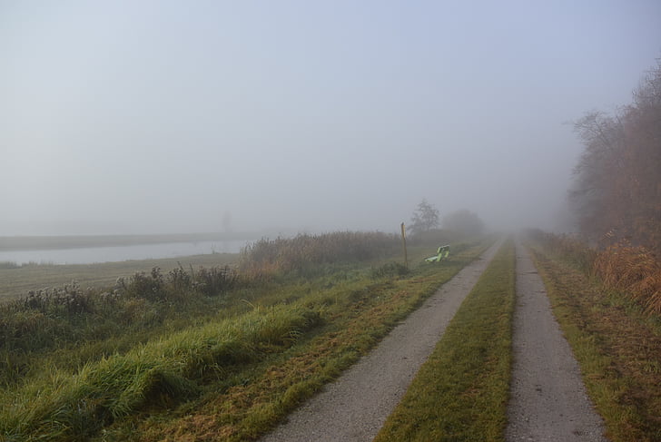 polder, landscape, fog, dutch landscape, pasture, nature, meadow
