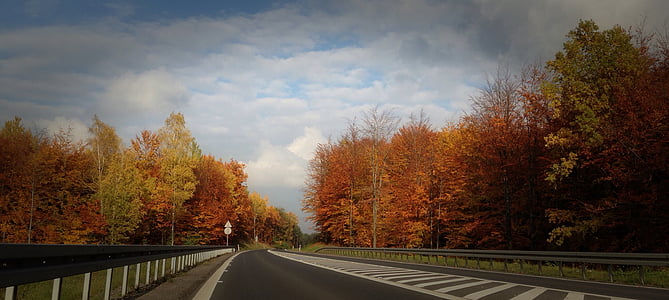 őszi táj, fa, Lengyelország, Olkusz, autópálya, között