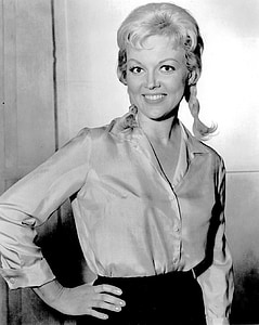 Cynthia lynn, aktris, Hogan'ın kahramanları, TV, Fraulein, Helga, televizyon