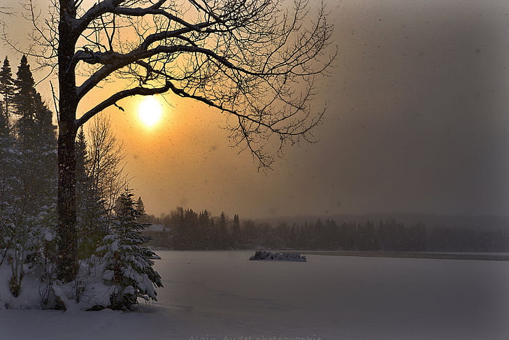 paisatge d'hivern, posta de sol, l'hivern, arbre, fred, neu, cel