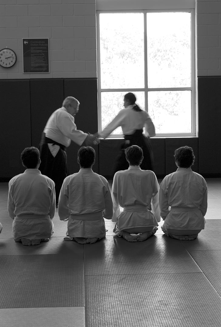 aikido, martial arts, self-defense, learning, seminar, senseis, training