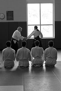 Aikido, arte martiale, auto-apărare, de învăţare, Seminar, senseis, formare