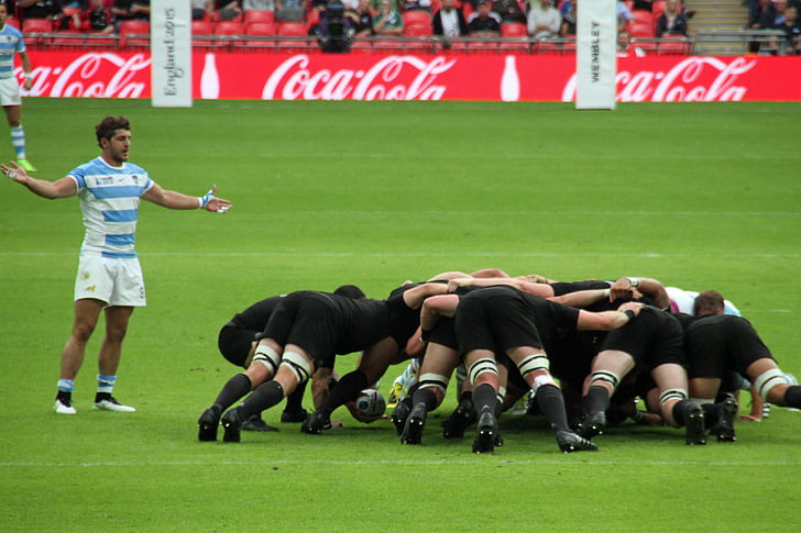 rugby, players, world, cup, stadium, sport, wembley