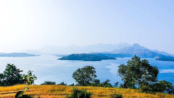 green, trees, field, yellow, grass, sea, blue