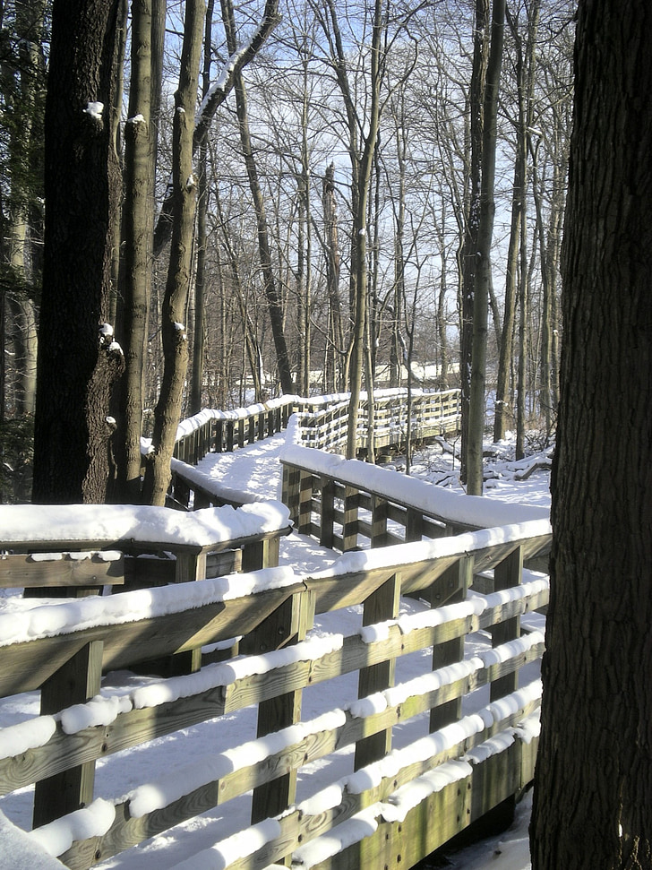 passerelle, chemin d’accès, rails en bois, neige, hiver, froide, glace