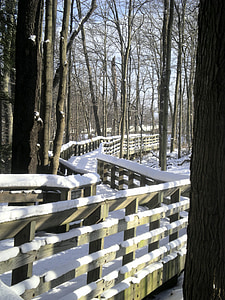 walkway, path, wooden rails, snow, winter, cold, ice