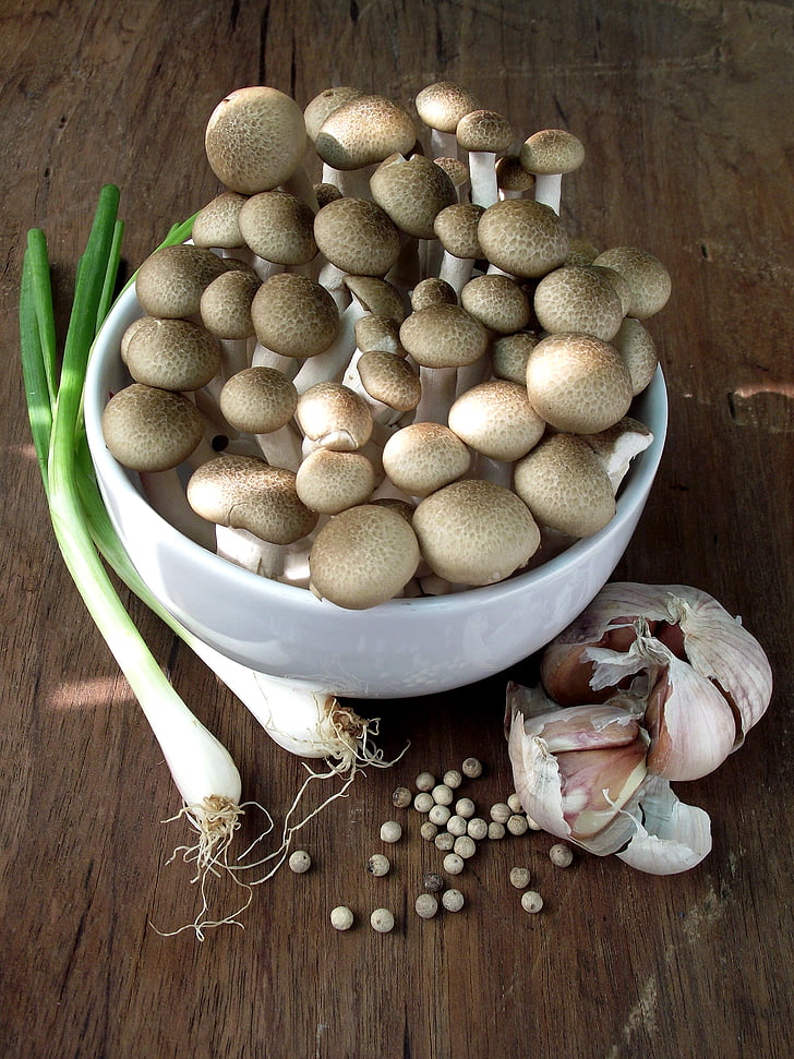 mushroom, spring onion, garlic, pepper, food, raw materials, raw
