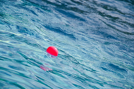 ลูกบอล, สระว่ายน้ำ, น้ำ, ว่ายน้ำ, สระว่ายน้ำ, สีฟ้า, ฤดูร้อน