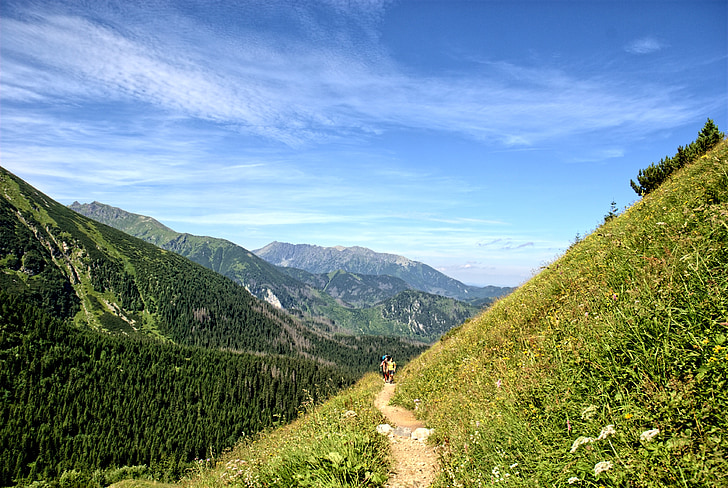 Tatry, Szlovákia, táj, szemközti nézet, hegyek, nézet, természet