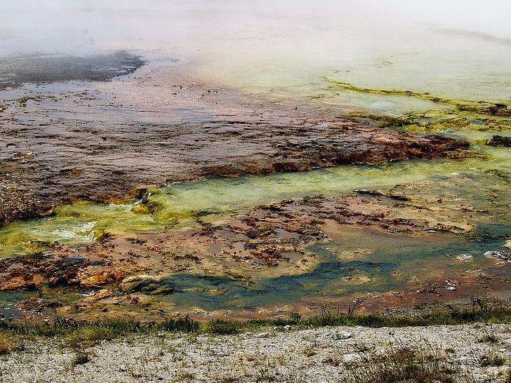 yellowstone national park, wyoming, usa, minerals, water, colorful, microorganism