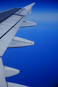 aviões, asa, empenagem, voar, céu, azul, avião