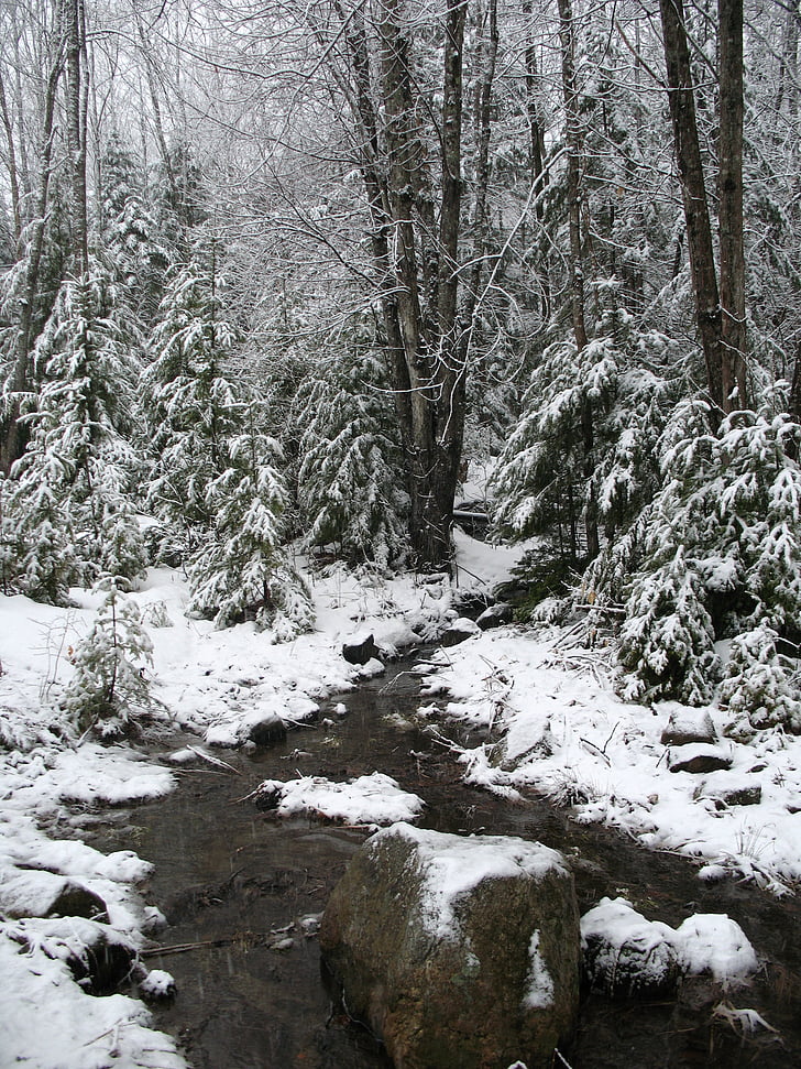 snow, stream, winter, water, landscape, nature, white
