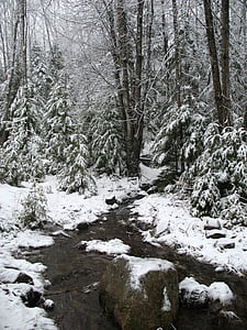 снег, поток, Зима, воды, пейзаж, Природа, Белый