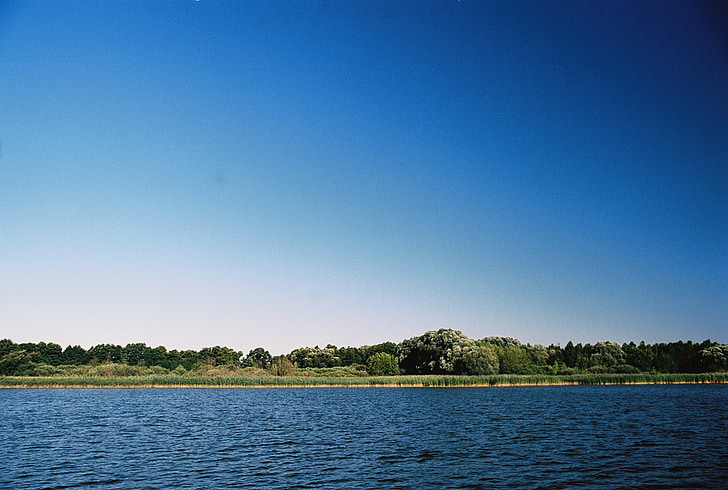 mặt trời, Lake, Reed, cảnh quan, nước, Thiên nhiên, màu xanh