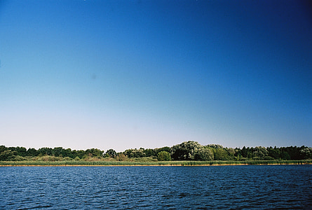 sol, Lago, Reed, paisaje, agua, naturaleza, azul