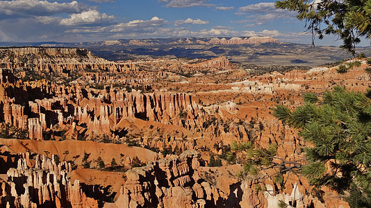 USA, nationalparken, Bryce canyon, naturen, Rock, erosion, Gorge