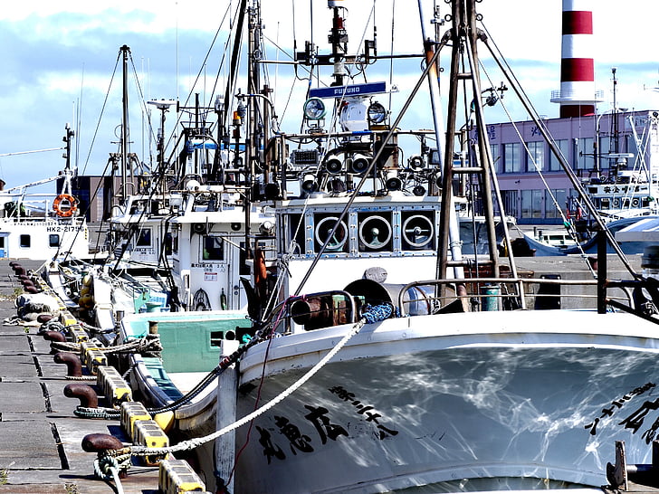 barco de pesca, Porto de pesca, Hokkaido, Porto, embarcação náutica, doca comercial, mar