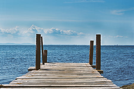 brown, wooden, dock, surrounded, body, water, lake