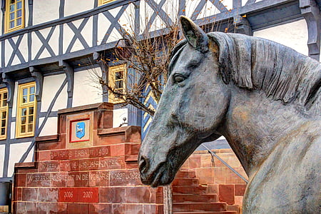 con ngựa, đồ đồng, tác phẩm điêu khắc, kim loại, động vật, Ross, Town hall