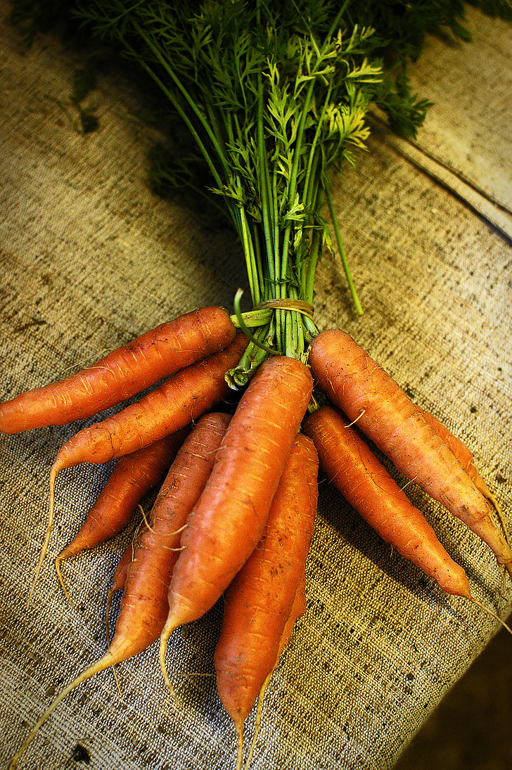 jus de carotte, alimentaire, ferme, organique