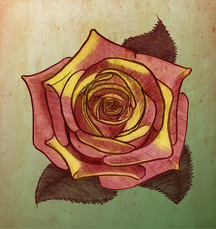 Листівка, Троянда, Вінтаж, ретро, фігура, ілюстрація, ескіз