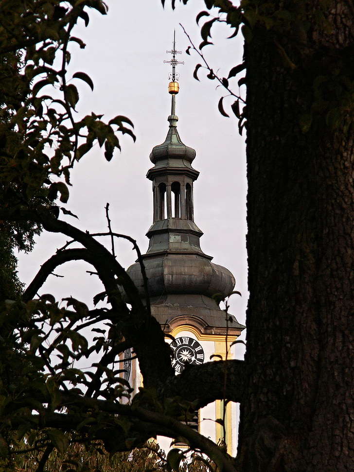 Steeple, vecchio albero, Torre, architettura, Borovany, tronco