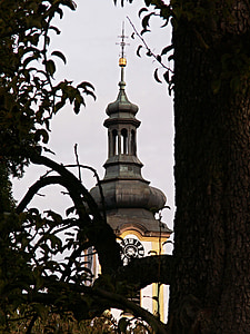 Steeple, arbre vell, Torre, arquitectura, borovany, tronc