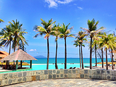 Resort, pohon palem, pohon kelapa, Pantai, pohon palem, Palm, pohon