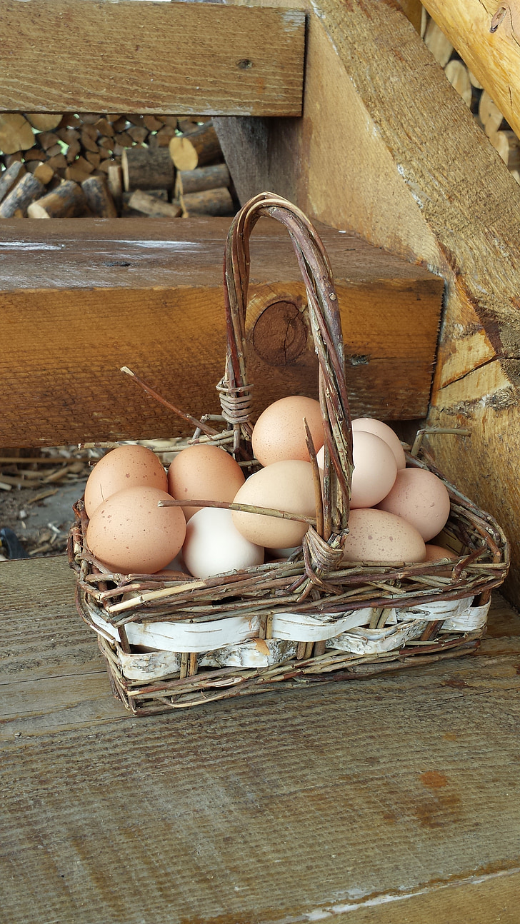 vajcia do jedného košíka, vajcia, Kôš, farma, kurčatá, hnedé vajcia, Prútený košík