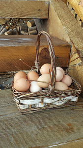 ous en una cistella, ous, cistella, granja, pollastres, ous de color marró, Canasta de vímet folrada