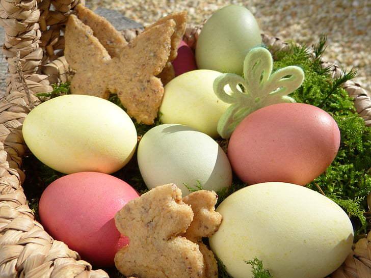 niu de Pasqua, ous de Pasqua, galetes, galeta, conill de Pasqua, papallones, molsa
