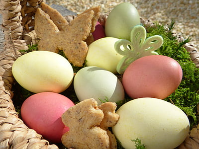 húsvéti fészek, húsvéti tojás, cookie-k, cookie-k, húsvéti nyuszi, pillangók, moha
