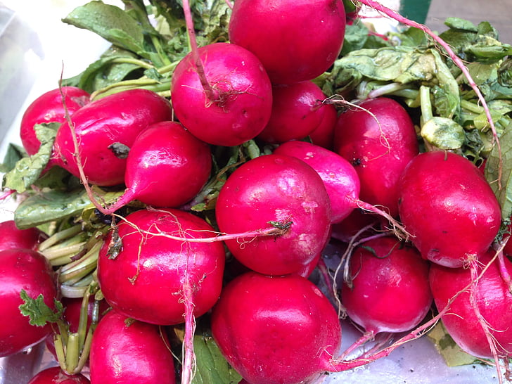 radishes, food, nutrition, freshness, tomato, vegetable, organic