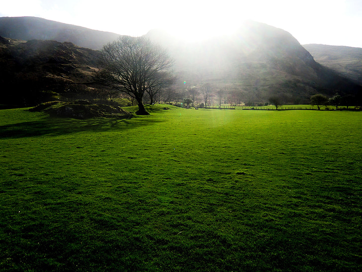 verd, Prat, Regne Unit, estat d'ànim, torna la llum, herba, natura