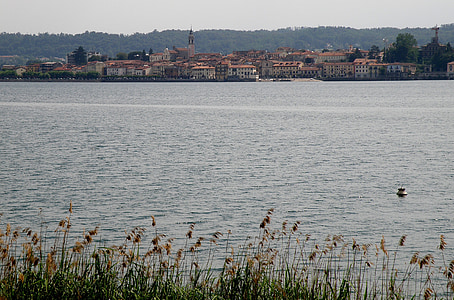 arona, panorama, italy, lake maggiore, town, municipality, water