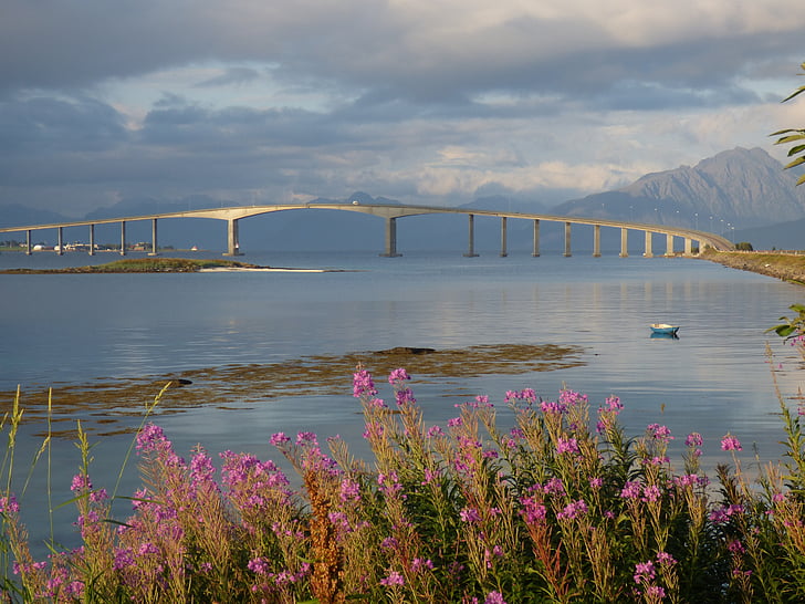 Bridge, landskap, Lofoten, Norge