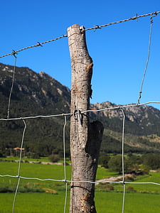 bodljikava žica, žica, ograđeno, metala, ograda, sigurnost, trn