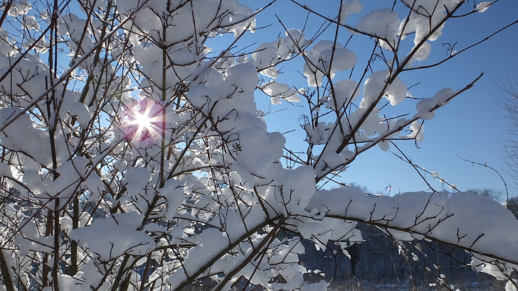 Χειμώνας, Ήλιος, Ιανουάριος, λευκό, ηλιακό φως