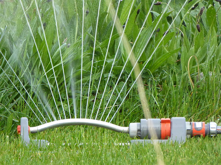 rush, water, casting, drop of water, juicy, meadow, sprinkler