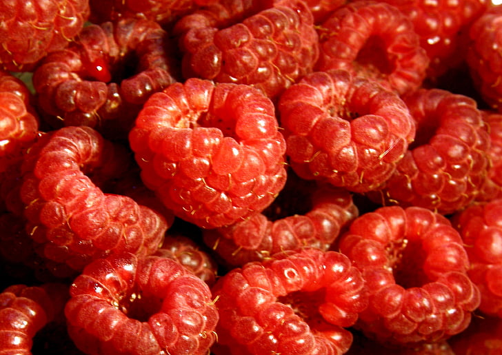 raspberry, fruit, pie, raspberry cake, fruits